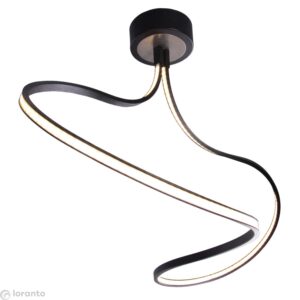 Led Ceiling Lamp Black