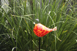 Garden spike bird | Orange