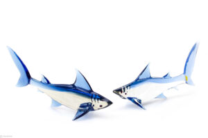 Glass shark | Glass Shark | Blue