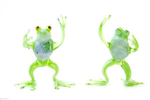 Glass Frog | Glass frog | Green