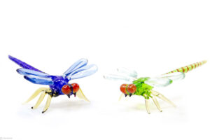 Glass dragonfly | Glass Dragonfly | Colour