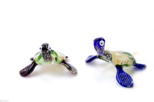 Glass turtle