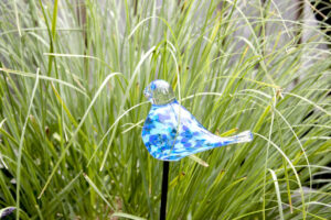 Garden spike bird | Blue