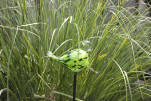 Garden spike bird | Green