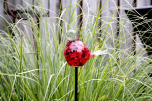 Garden spike bird | Red