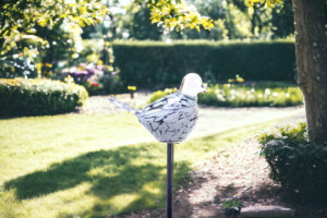 Garden spike bird | White